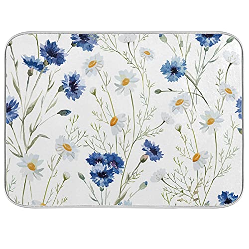 white blue daisy