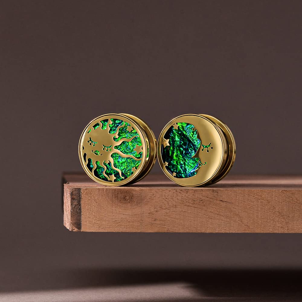 ERKUOO 2PCS Sun Moon Ear Gauges Screw Ear Tunnels Plugs - 0g to 1