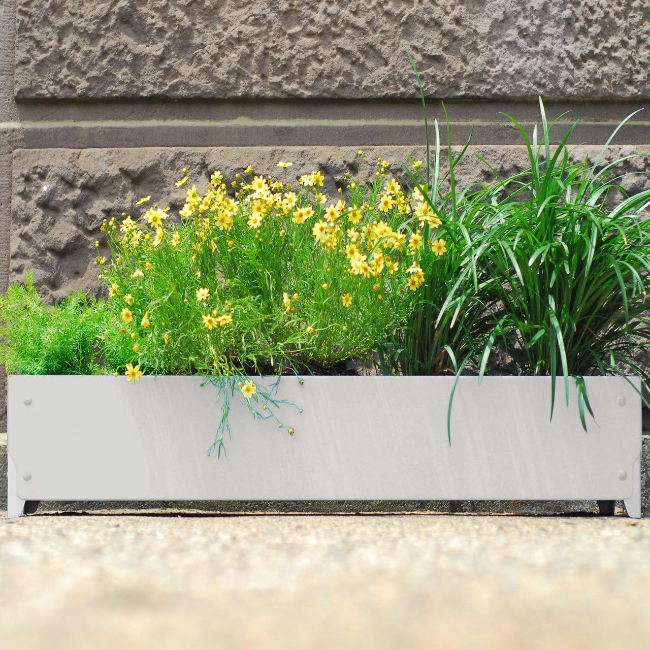 BOLTON Wide Planter Set of 4 - Large Indoor Outdoor Flower Pots for Plants, Succulents & Herbs - Perfect for Patio, Garden, Balcony & Home Decor