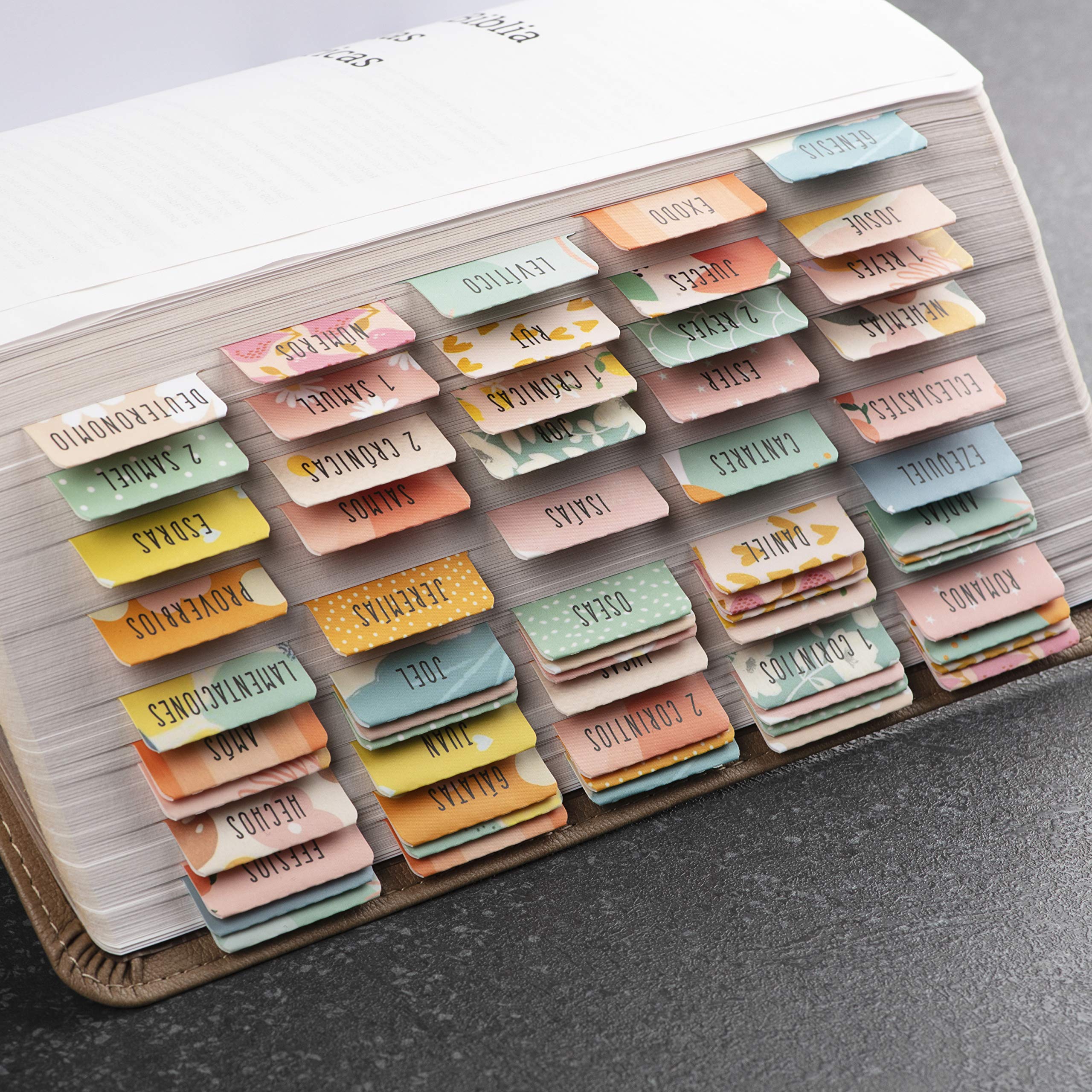 DiverseBee Spanish Bible Tabs - Large Print Easy Read Bible Journaling Supplies, 66 Old & New Testament Tabs with Catholic Books + 9 Blank Tabs, Perfect Christian Gift for Bible Study, Church, and Personal Devotion (Alegria Theme)