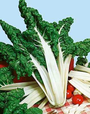 FordHook Giant Swiss Chard Heirloom Seeds - 1,000 Bulk Non-GMO Garden Vegetable Seeds by Seeds Kingdom | Perfect for Home Gardening, Urban Farming & Organic Vegetable Patches