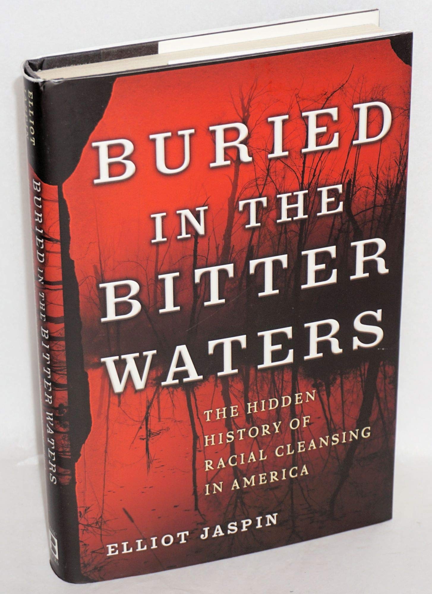 Buried in the Bitter Waters: The Hidden History of Racial Cleansing in America - Powerful Historical Account for Students & Researchers
