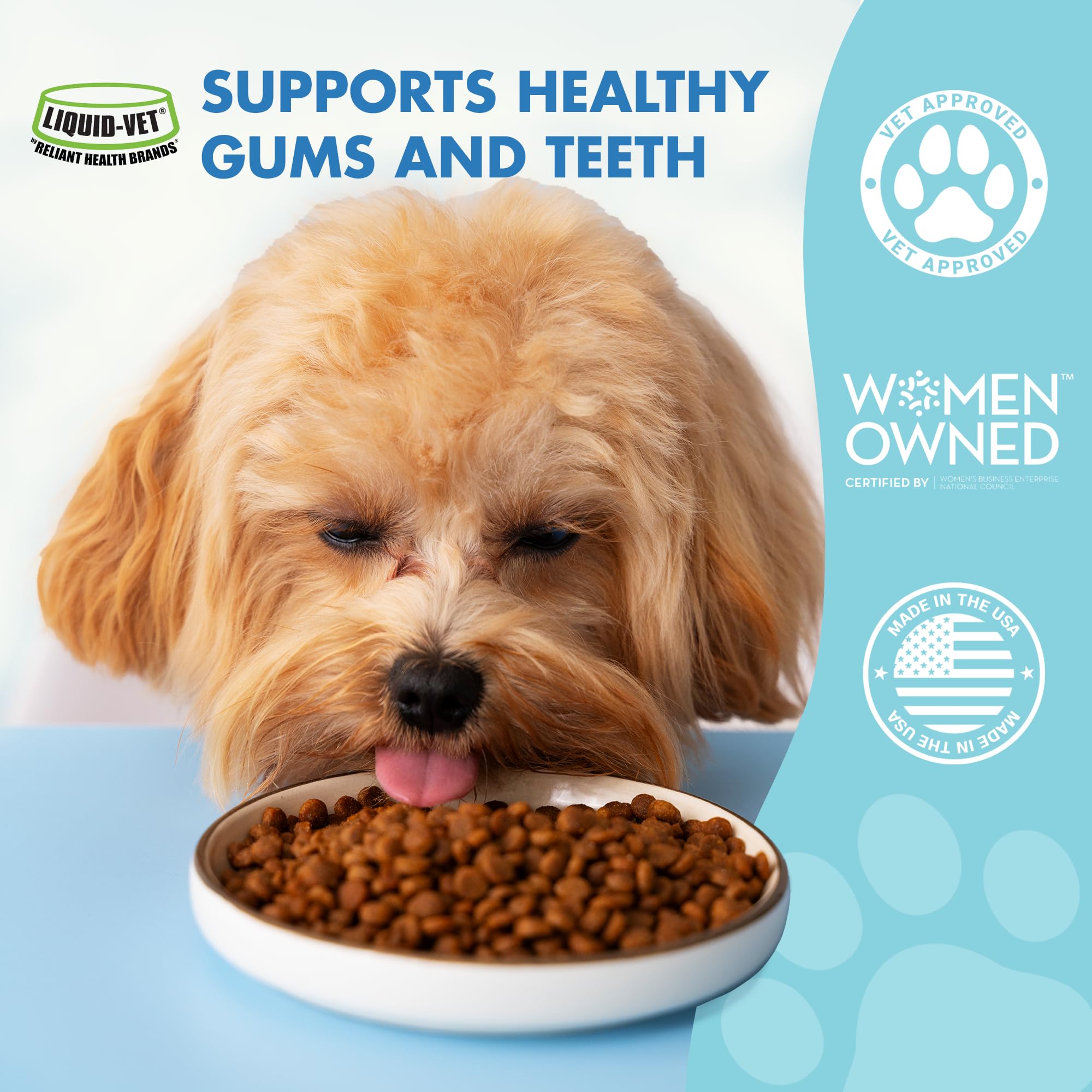 Premium K9 Teeth & Gums Advanced Dental Care Formula - Pot Roast Flavor Dog Toothpaste (8 oz BOGO Trial Pack) for Small & Large Breeds - Freshens Breath & Reduces Plaque for Healthy Canine Oral Hygiene