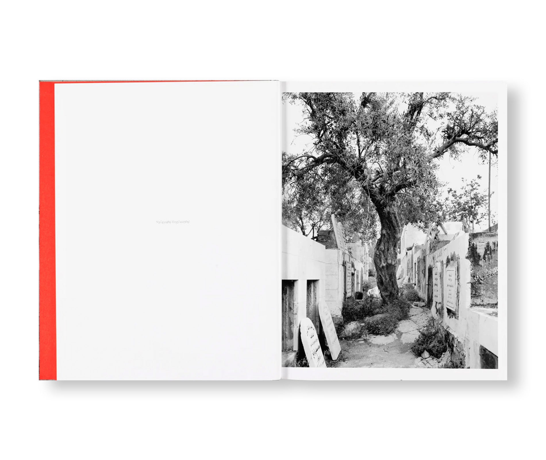 ANCHOR IN THE LANDSCAPE - Contemporary Art Photography Book by Adam Broomberg & Rafael Gonzalez - Perfect for Art Collectors and Photography Enthusiasts