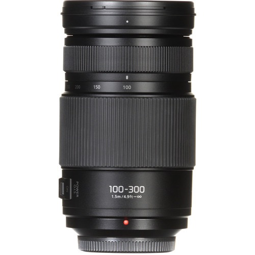Panasonic Lumix G Vario 100-300mm f/4-5.6 II POWER O.I.S. Lens for Micro Four Thirds Cameras - Telephoto Zoom Lens with Optical Image Stabilization, Ideal for Wildlife, Sports & Travel Photography