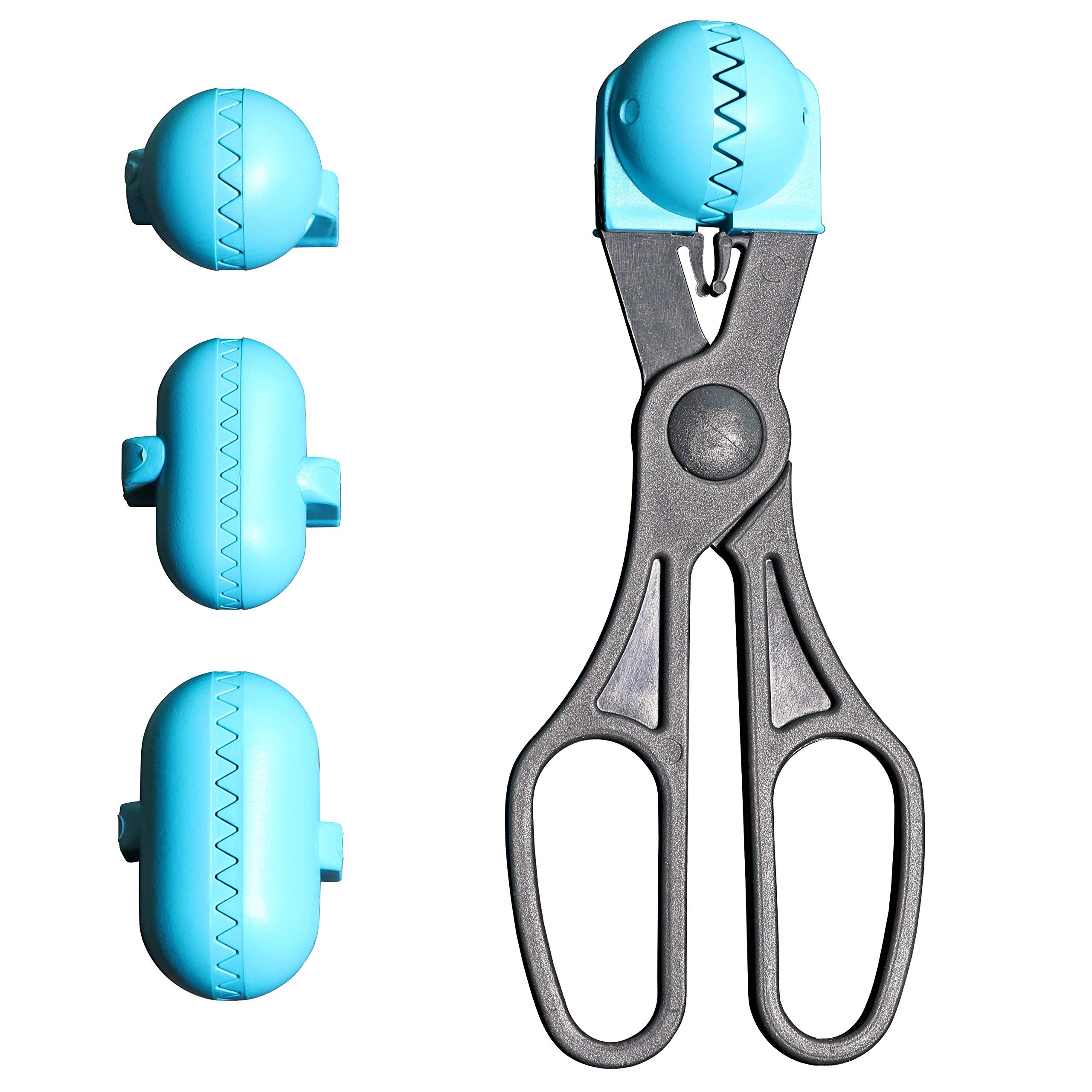 Turquoise Dough Mould Set with 4 Interchangeable Shapes - Perfect for Kibbles, Meatballs, Balls & Sushi | 100% Spanish Patented Kitchen Utensil | Ideal for Baking, Cooking & Food Prep | Made in Spain