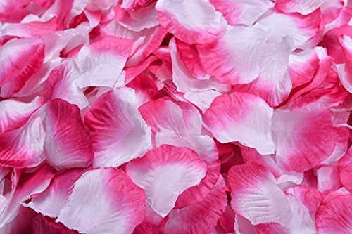 Hot Pink and White