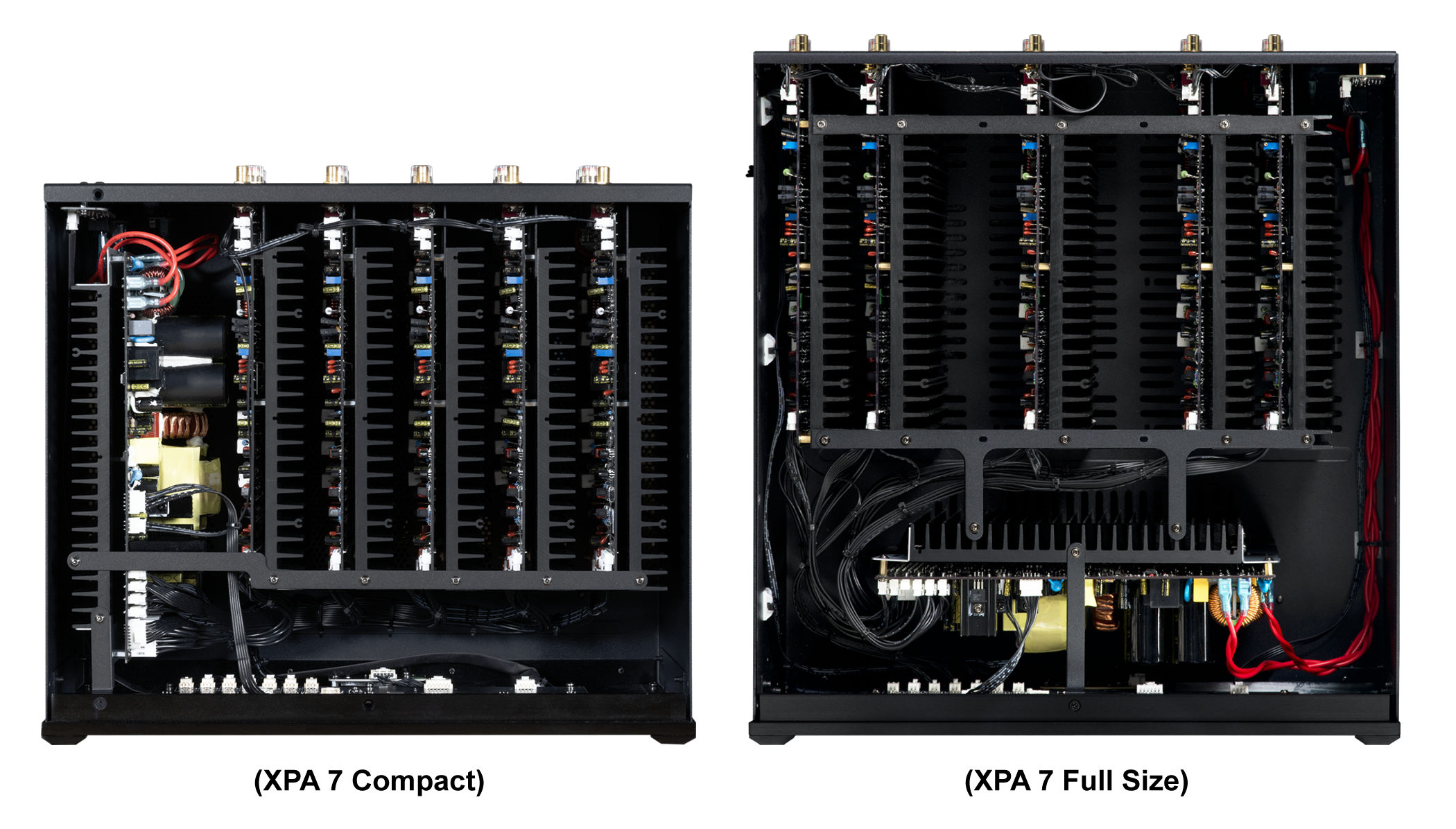 XPA C Compact Chassis Power Amplifier - 200W High Power Stereo Audio Amplifier for Home Theater, Studio & Live Performances | Professional Grade Sound System for DJs, Musicians & Audiophiles