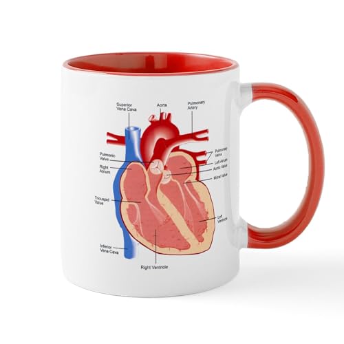White/Red Inside - Human Heart Anatomy Mug
