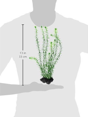 Tetra DecoArt Anacharis Artificial Aquarium Plant - Realistic Underwater Decor for Fish Tanks - Perfect for Freshwater Aquariums, Betta Tanks & Aquatic Terrariums