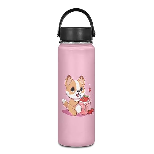 Strawberry Corgi Dog