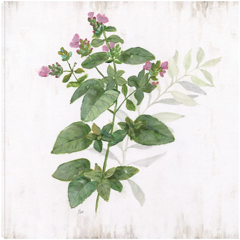 Nan Artist Hand-Painted Kitchen Garden Fine Art Canvas Wall Decor - 32x32 Inches - Ready to Hang for Living Room, Bedroom, Bathroom, Kitchen, Office, Bar & Dining Room - Perfect for Home Decor & Gift Giving