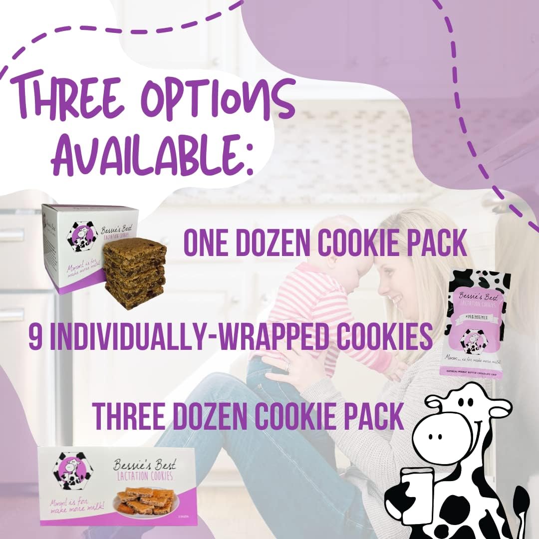 Bessie’s Lactation Cookies - Oatmeal Peanut Butter Chocolate Chip for Breastfeeding Moms | Milk Supply Boost Snacks