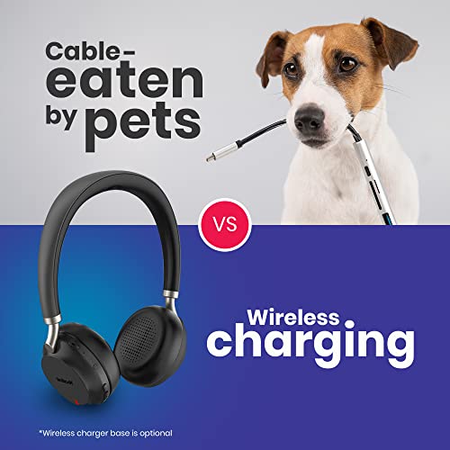 Black - w/ Charging Stand
