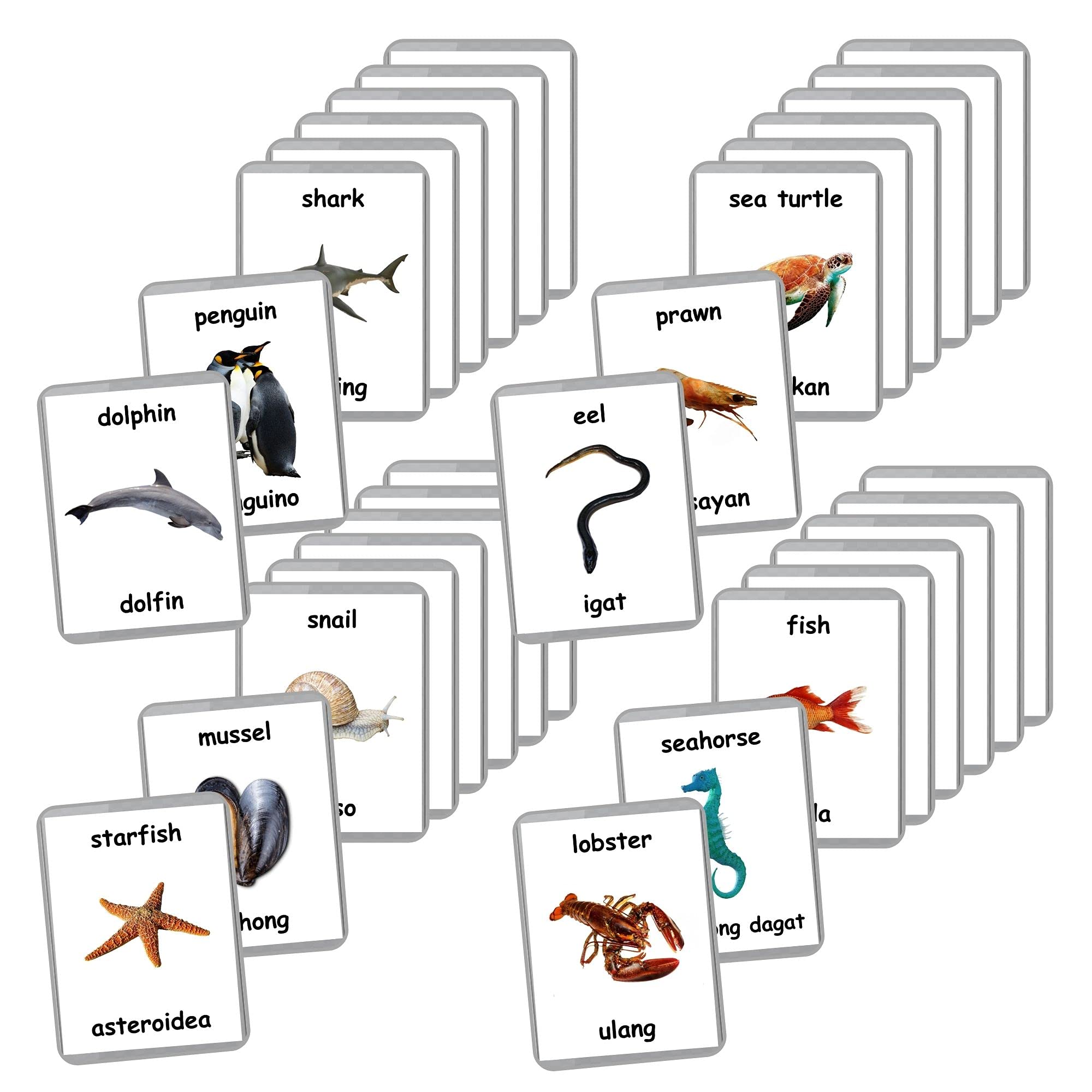 Sea Animals Flash Cards - 26 Laminated Ocean & Water Animal Flashcards for Homeschooling | Bilingual English & Filipino Educational Cards | Perfect for Preschool Learning & Marine Life Education