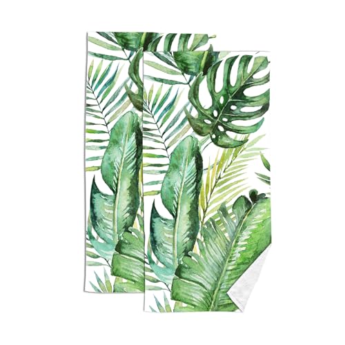 Tropical Palm Leaf