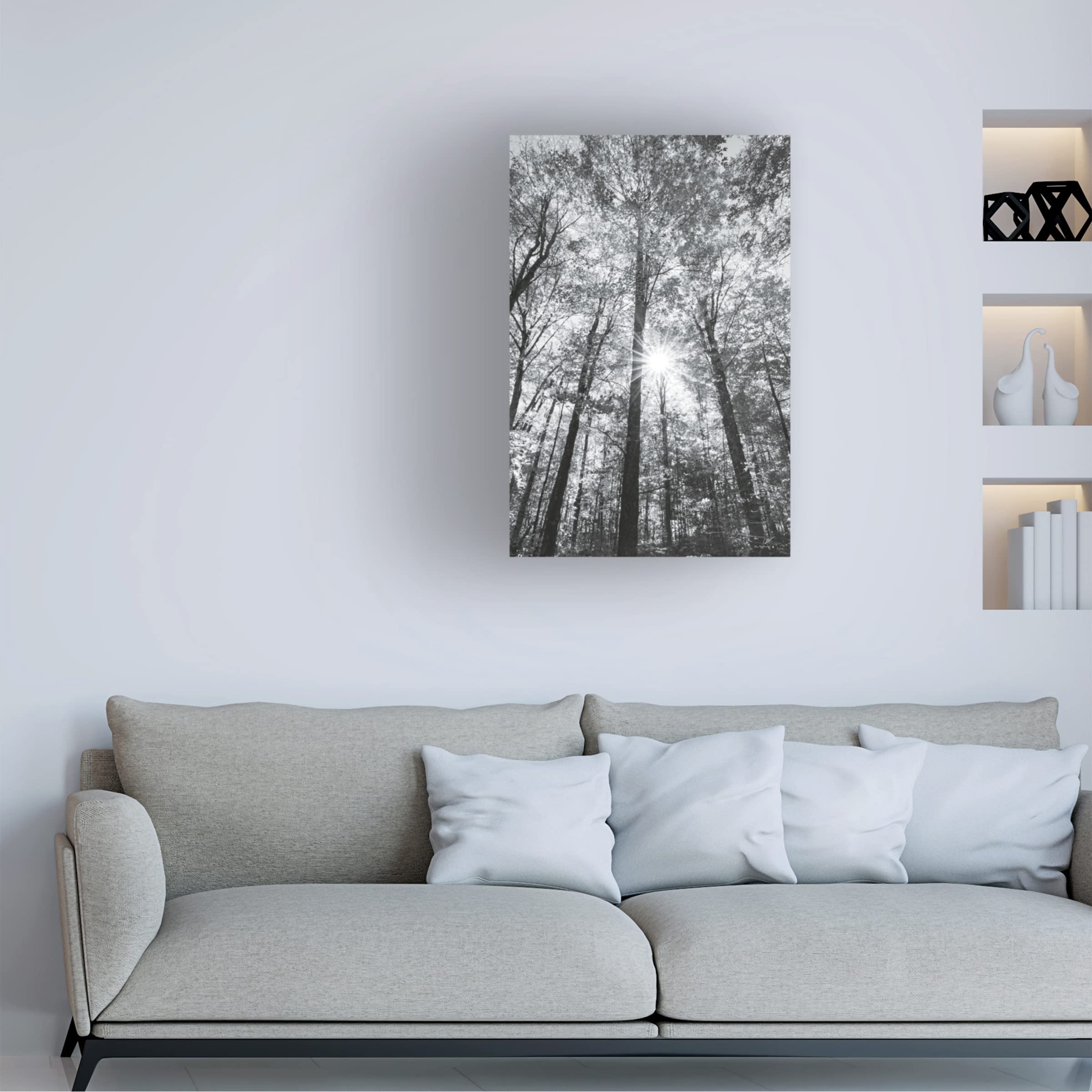 Trademark Fine Art 'Autumn Forest I BW' Canvas Wall Art by Alan Majchrowicz - Black & White Nature Landscape Painting for Living Room, Bedroom & Office Decor
