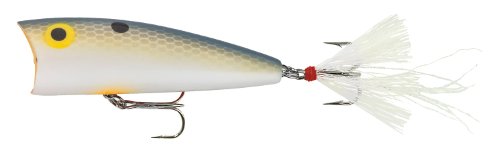 Foxy Shad