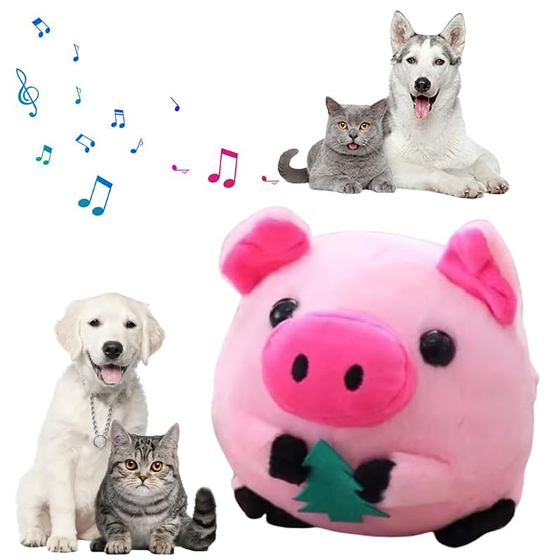 Pink Pig-A