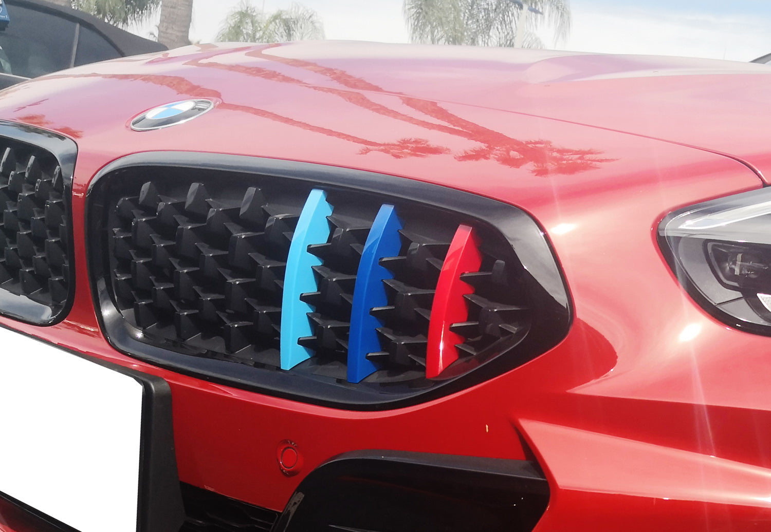3D Mesh Kidney Grills for 2019-2023 BMW G29 Z4 | ///M Style Colored Grille Insert Trims | Upgrade Your Front Grille for Sporty Look & Enhanced Airflow