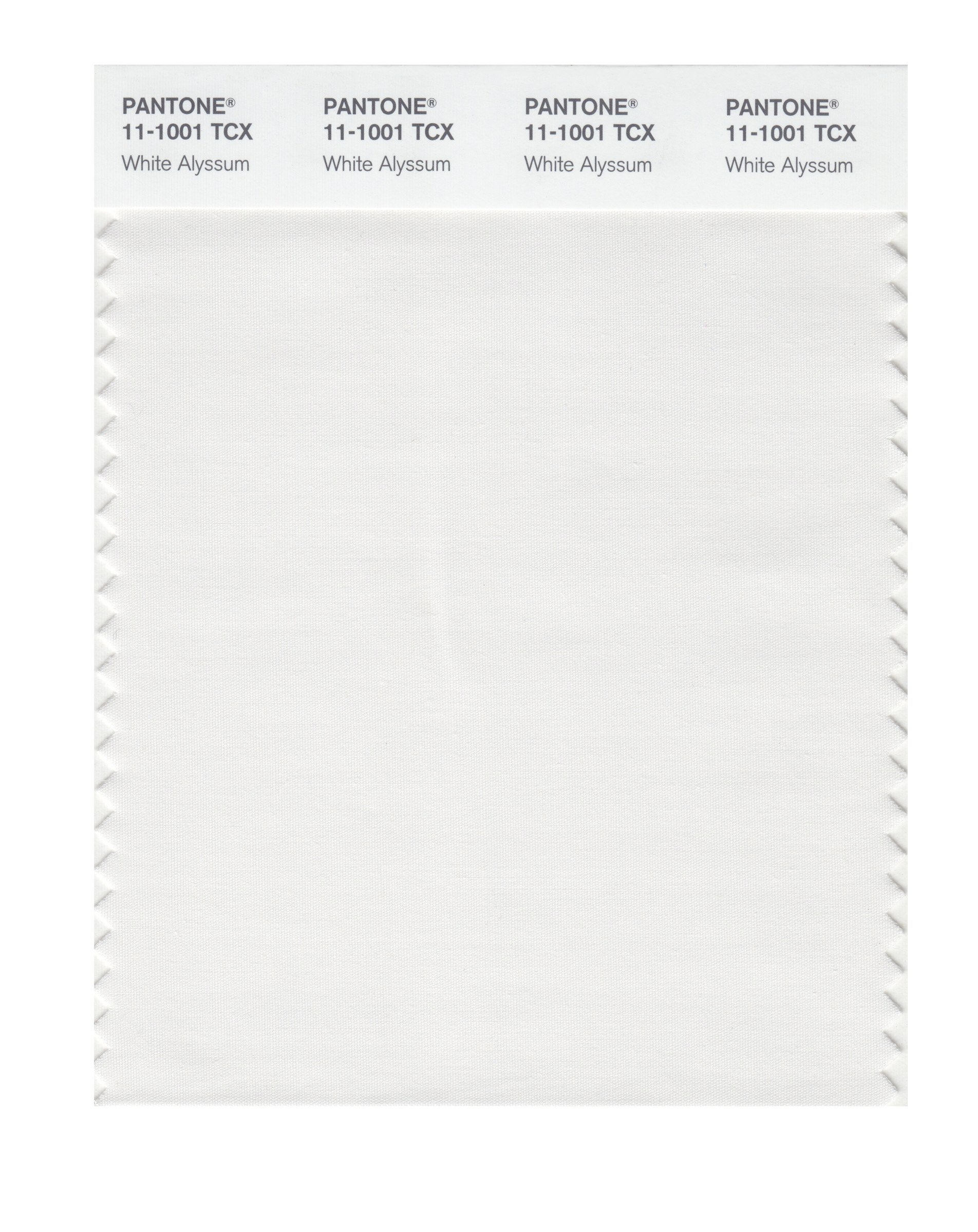 Pantone 11-1001 TCX White Alyssum Color Swatch Card - Premium Color Matching Tool for Graphic Designers, Artists & Print Professionals | Perfect for Branding, Packaging & Product Design Projects