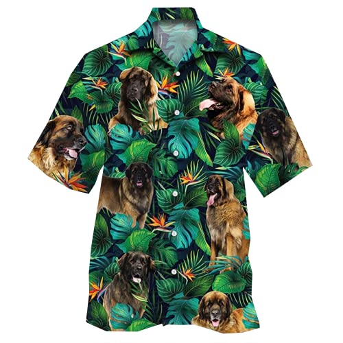 Leonberger Dog-09