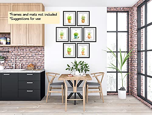 Farmhouse Kitchen Wall Art - Set of 7 Herb Prints in Pots, 8x10 Unframed Botanical Prints for Home Decor | Perfect for Country Style Kitchens, Dining Rooms & Cottage Interiors