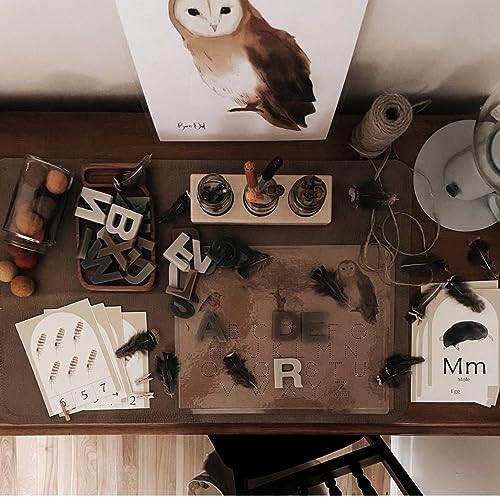 Wood + Blanc