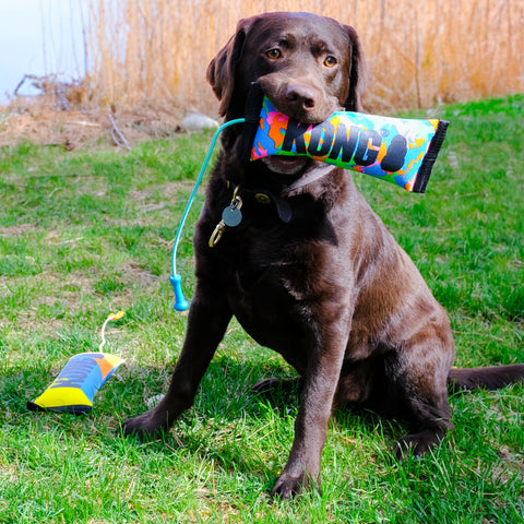 Durable High Visibility Kong Fetch Toy Bumper for Dogs - Perfect for Outdoor Play, Training, and Interactive Games