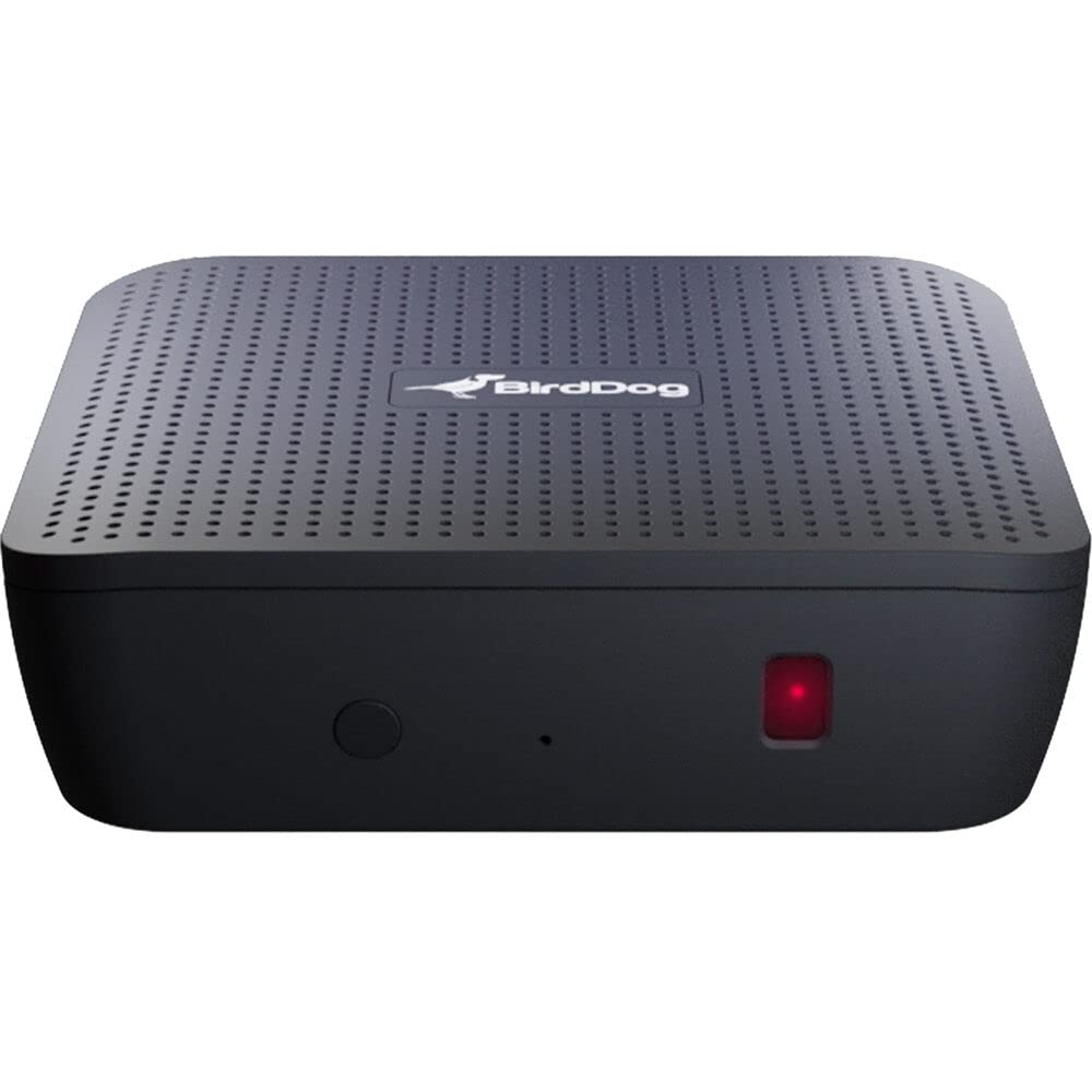 BirdDog Play 4K NDI Player - Professional Video Streaming Device for Live Productions, Church Broadcasts & Sports Events