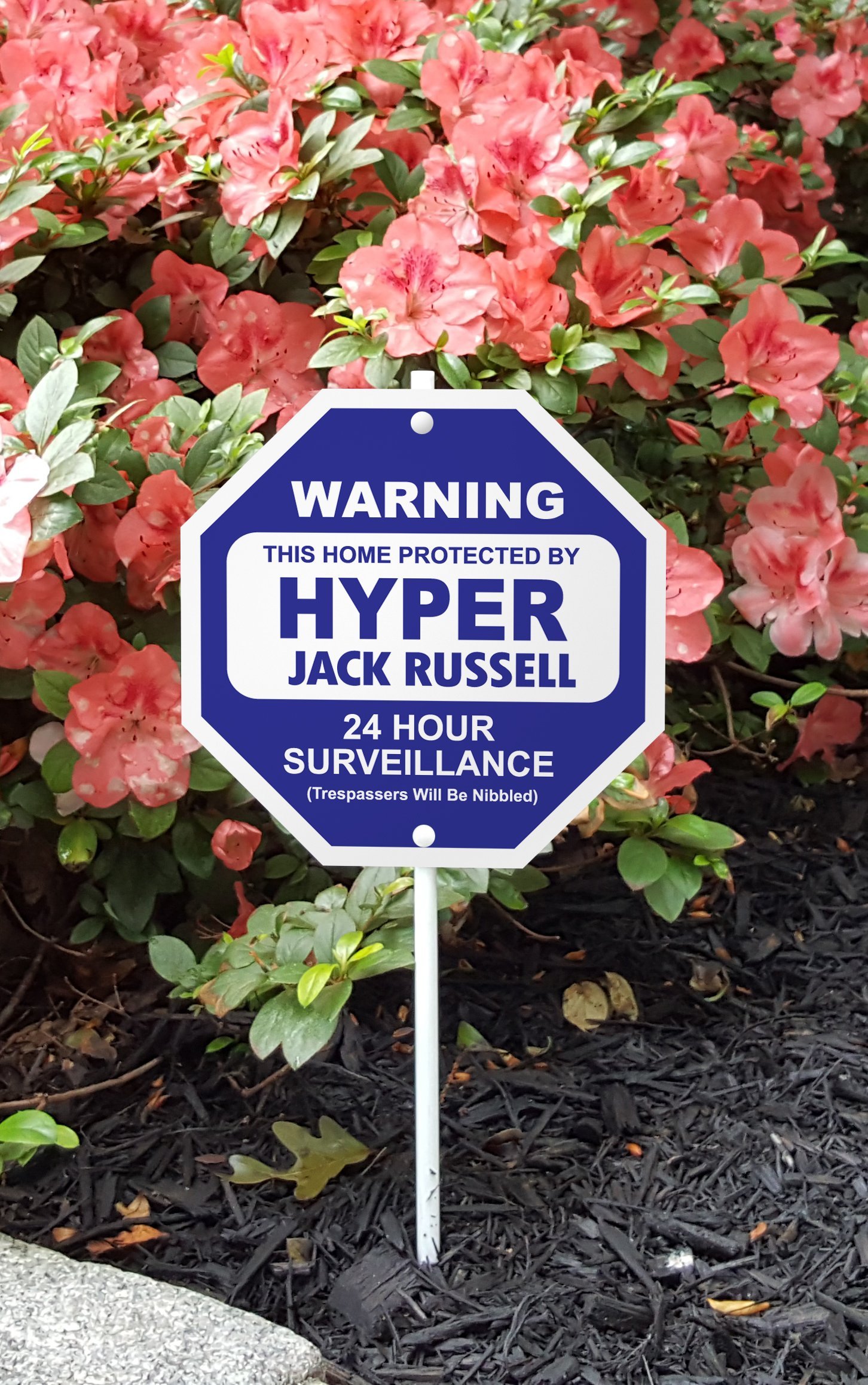 Hyper Jack Russell Garden Sign - Funny Dog Themed Yard Decor for Home Protection & Security | Perfect for Lawns, Gardens, and Outdoor Spaces