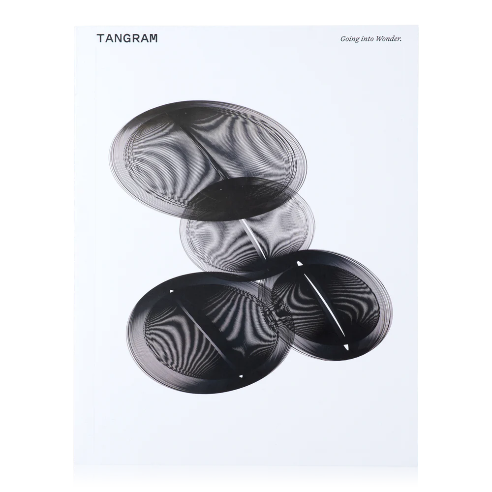Tangram Vol 3 Puzzle Set - Brain Teaser & Educational Toy for Kids & Adults | Perfect for Family Game Night, Classroom Activities & Stress Relief