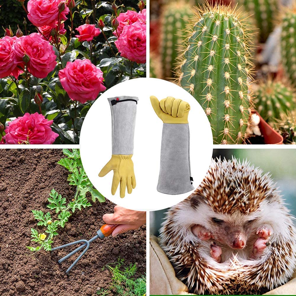 Rose Pruning Gloves - Thorn Proof Gardening Gauntlets for Men & Women | Goatskin Leather Cactus Gloves | Perfect for Rose Bushes, Cactus Care & Landscaping | Ideal Gardening Gift (Small)
