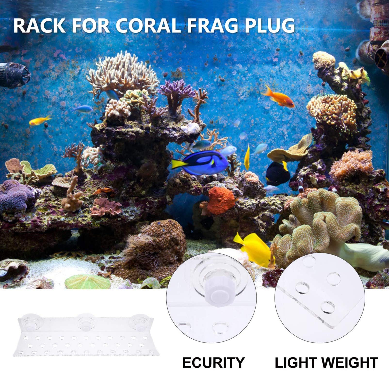 POPETPOP 32-Hole Magnetic Coral Bracket - Acrylic Frag Rack for Saltwater Aquarium, Coral Support Holder with Strong Magnetic Base - Perfect for Reef Tanks, Marine Aquascaping, and Coral Fragmentation
