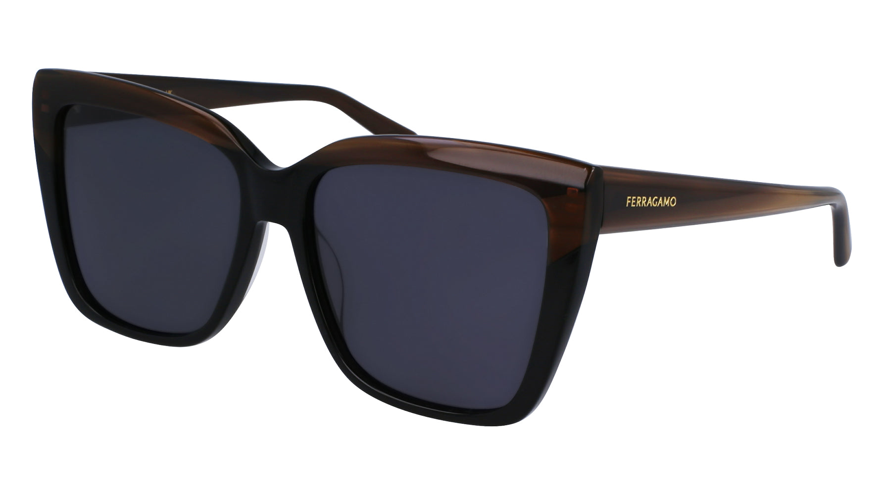 Ferragamo SF1102S Sunglasses for Women - Luxury Designer Shades with UV Protection - Perfect for Outdoor Activities, Travel & Fashion Accessories