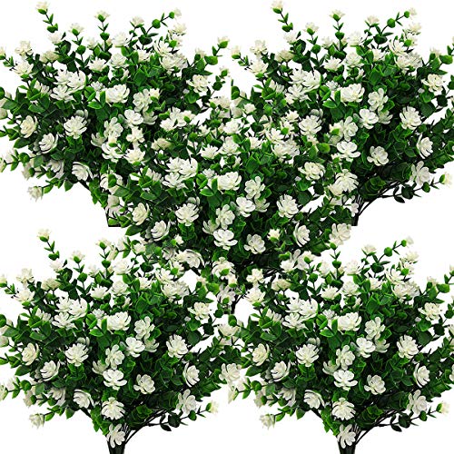 White-eucalyptus