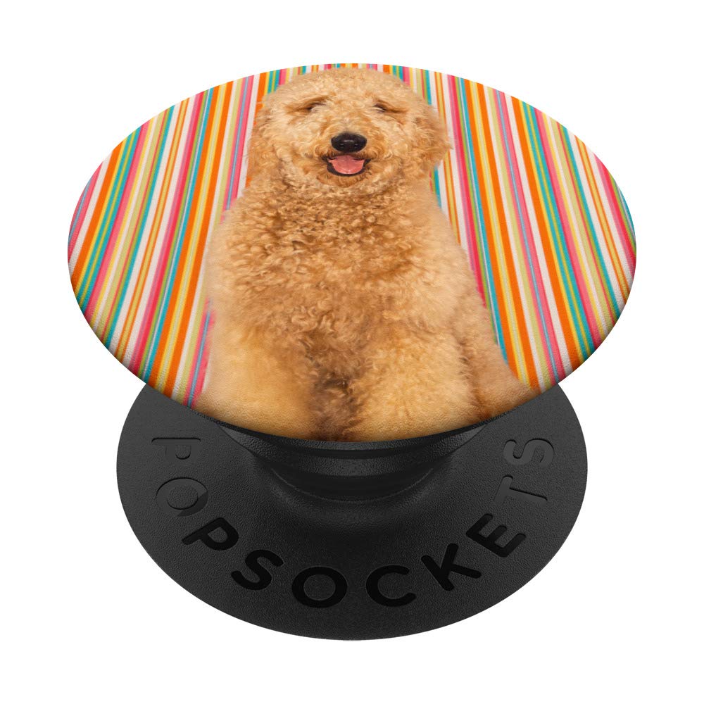 Goldendoodle PopSockets PopGrip: Interchangeable Phone Grip & Stand for iPhone, Samsung & Tablets - Perfect for Selfies, Video Calls & Secure Holding