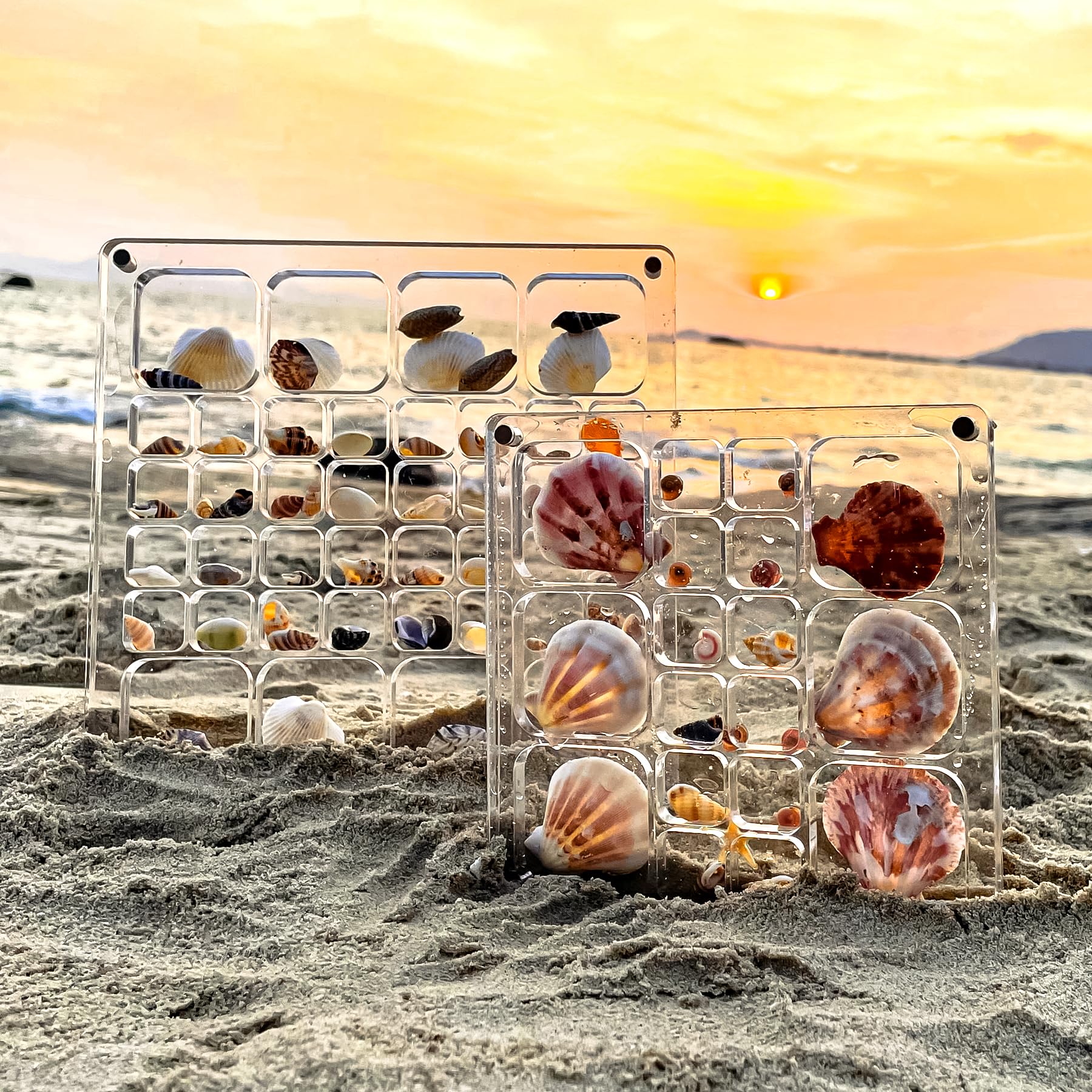 Multi-Style Clear Acrylic Magnetic Seashell Display Box - Shadow Box for Tiny Treasures, Shell Collector Case with Grid Cabinet - Perfect for Beachcombing Finds, Jewelry Display & Home Decor