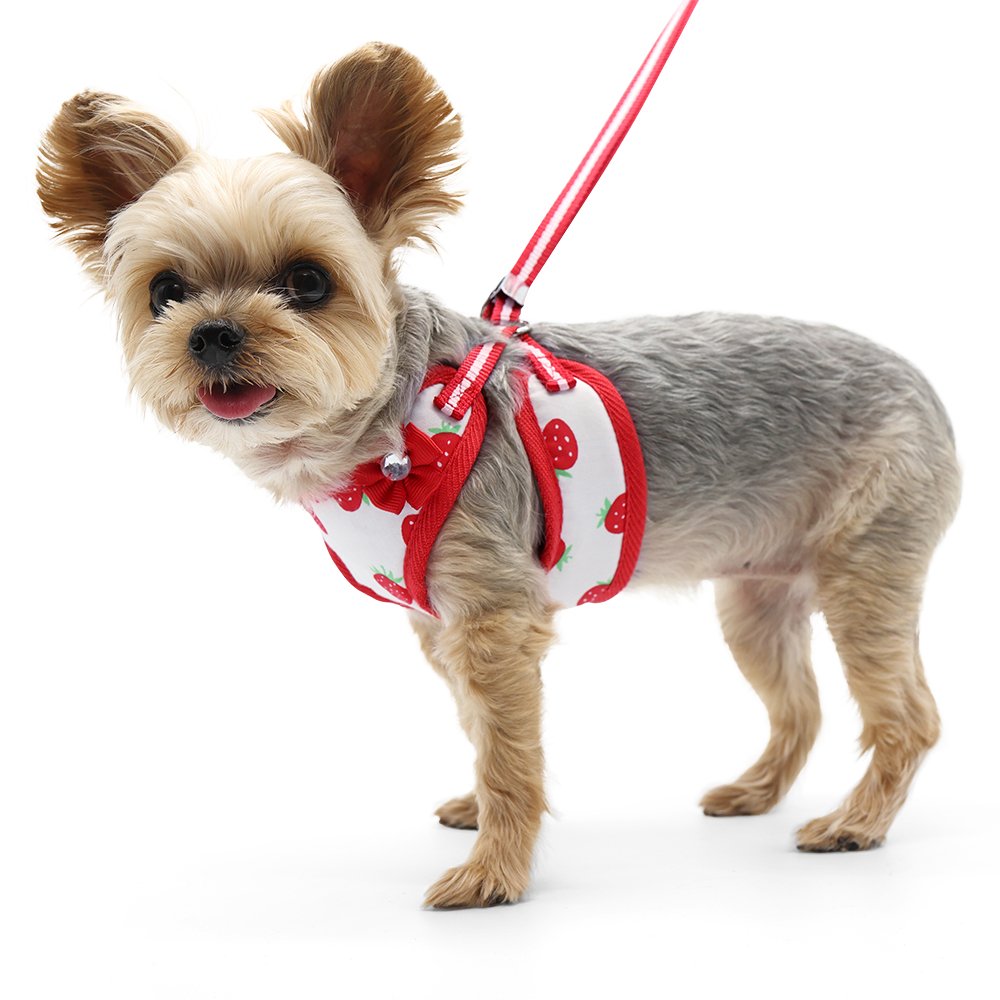 EasyGO Strawberry Harness for Small Dogs - Adjustable Pet Vest with Leash Attachment - Perfect for Walking, Training & Outdoor Adventures