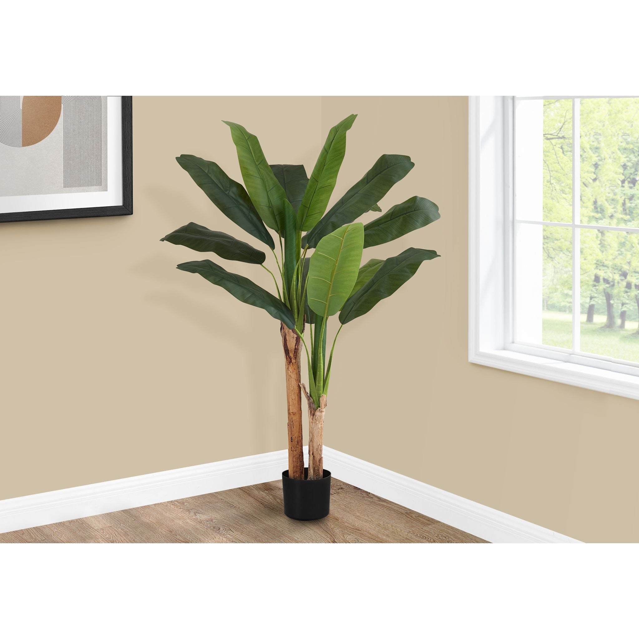 Banana Tree Plant - Live Tropical Fruiting Tree for Home Garden, Patio & Indoor Decor | Perfect for Landscaping, Backyard Orchard & Gift Giving