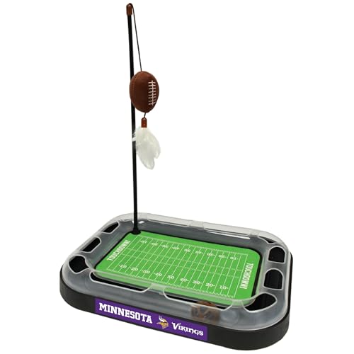 Minnesota Vikings