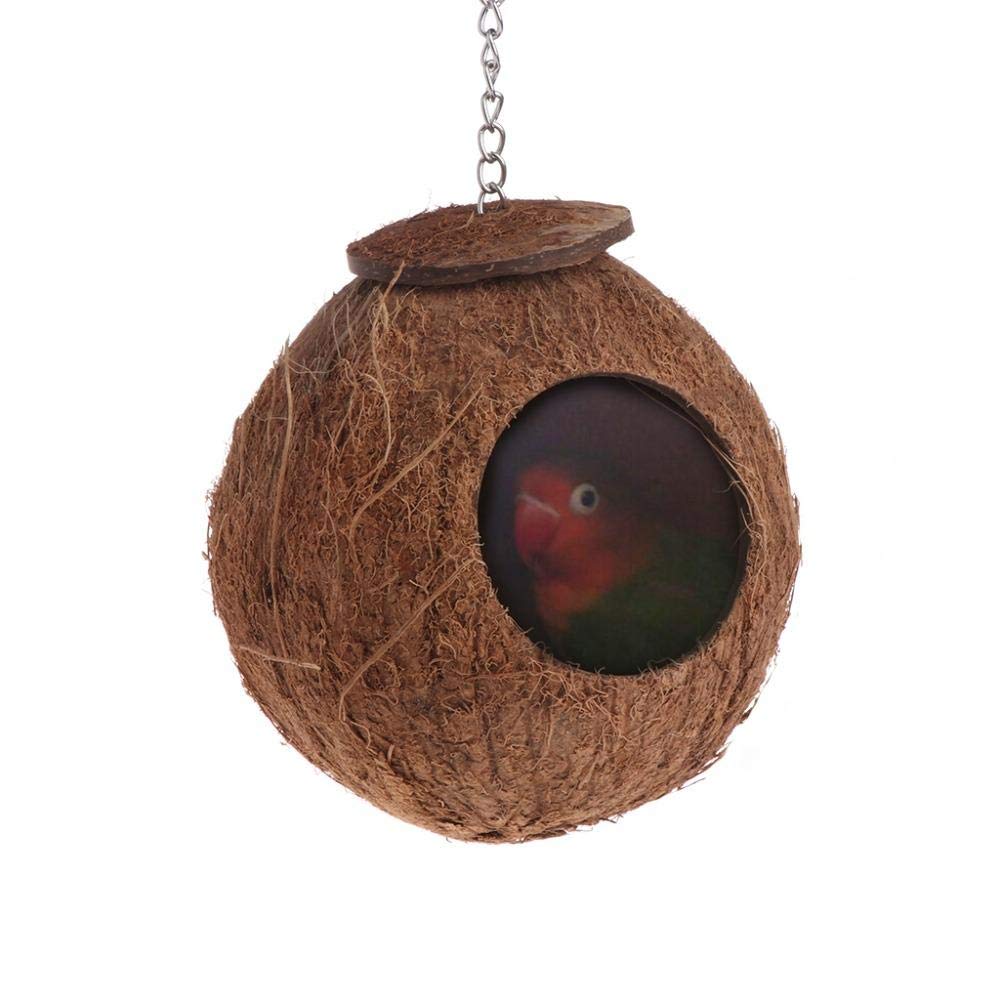 Natural Coconut Shell Bird Ladder & Swing House - 2Pcs Hanging Cage Toys for Parrots, Finches & Small Birds | Perfect for Climbing, Playing & Resting in Aviaries & Bird Cages