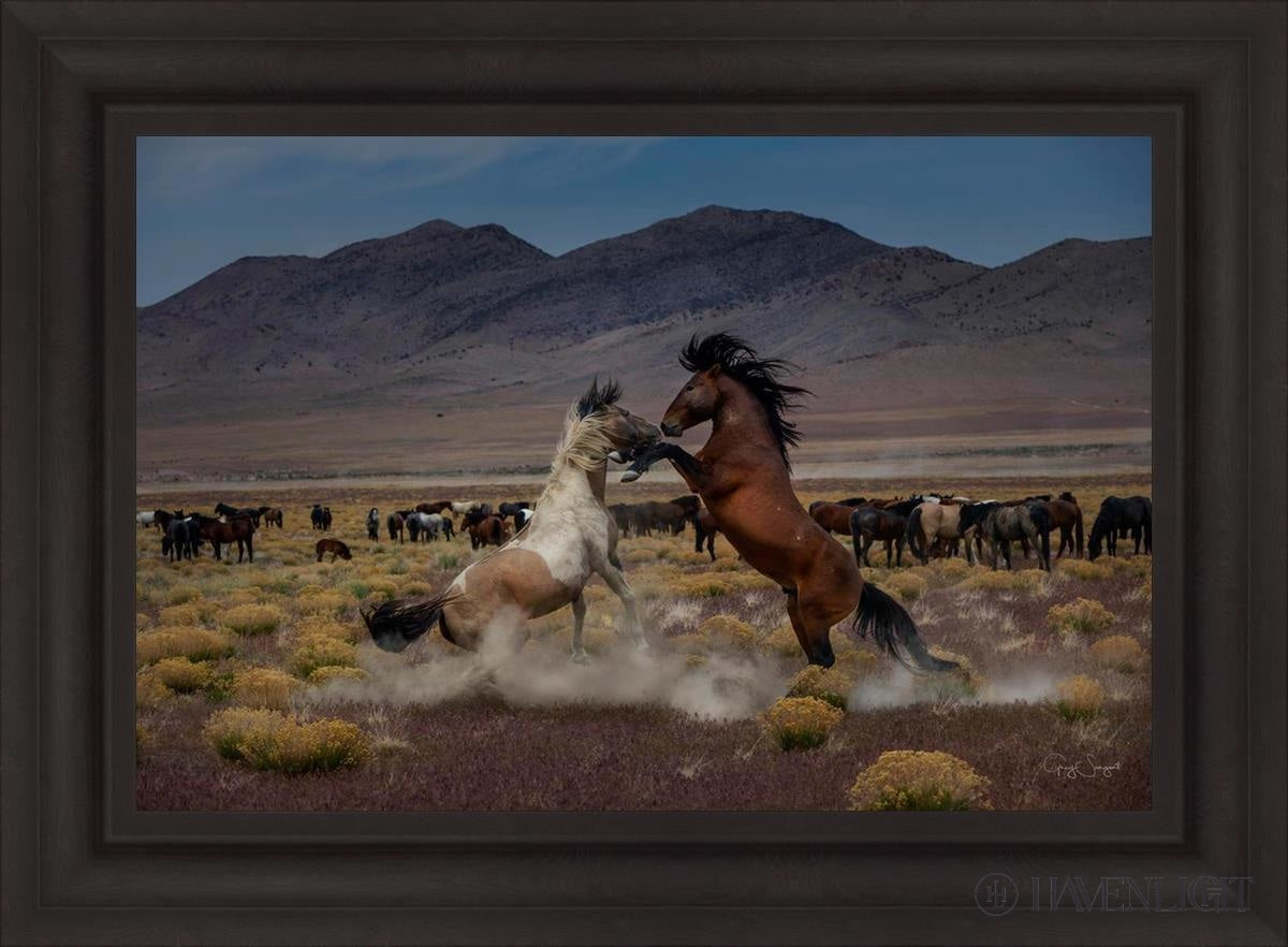 Desert Duel 5 by Greg Sargent - Western Action Novel - Perfect for Book Clubs & Cowboy Adventure Fans