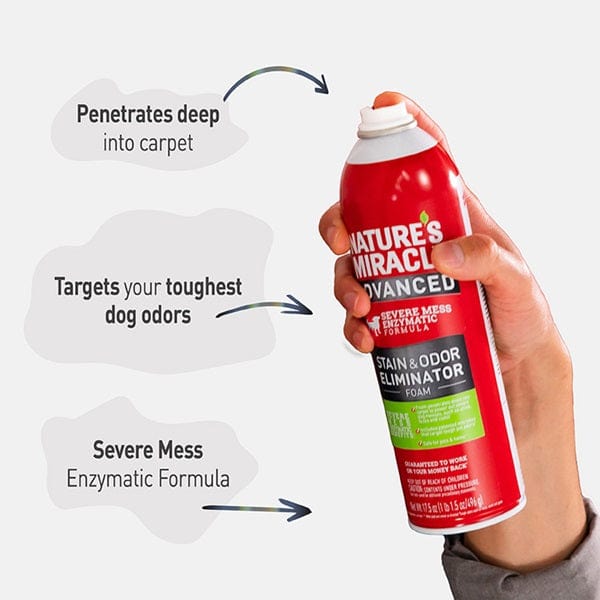 Nature's Miracle Advanced Stain & Odor Eliminator Foam for Pets - Enzyme-Powered Cleaning Solution for Carpets, Upholstery & Floors | Removes Tough Stains & Odors from Dogs & Cats | Perfect for Pet Accidents & Daily Cleaning