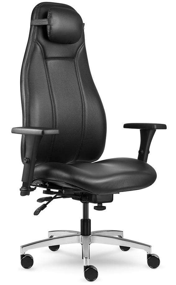 Allseating Therapod Ergonomic Office Chair for Therapists - Adjustable Lumbar Support & Breathable Mesh Back - Perfect for Clinics, Home Offices & Long Work Sessions [Model 50190]