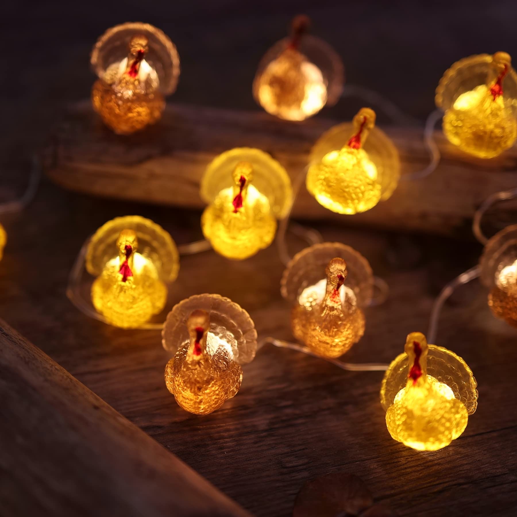 Thanksgiving String Lights - 20 LED USB Powered Fairy Lights with Remote, 8ft Fall Turkey & Forest Decor for Bedroom, Farmhouse, Holiday Decoration | Perfect for Thanksgiving Dinner, Christmas Tree & Cozy Home Ambiance