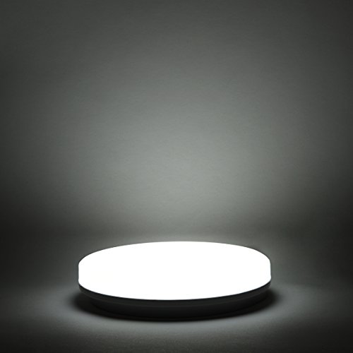 Daylight White / Cold White