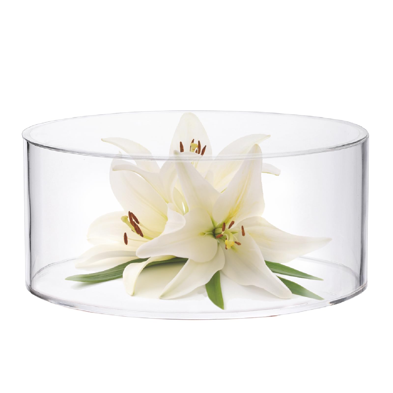 8 Inch Clear Acrylic Cake Stand with Hollow Bottom - Round Dessert Display Stand for Wedding, Birthday Party & Home Decor - Perfect for Cupcakes, Macarons & Pastry Presentation (Box Included)