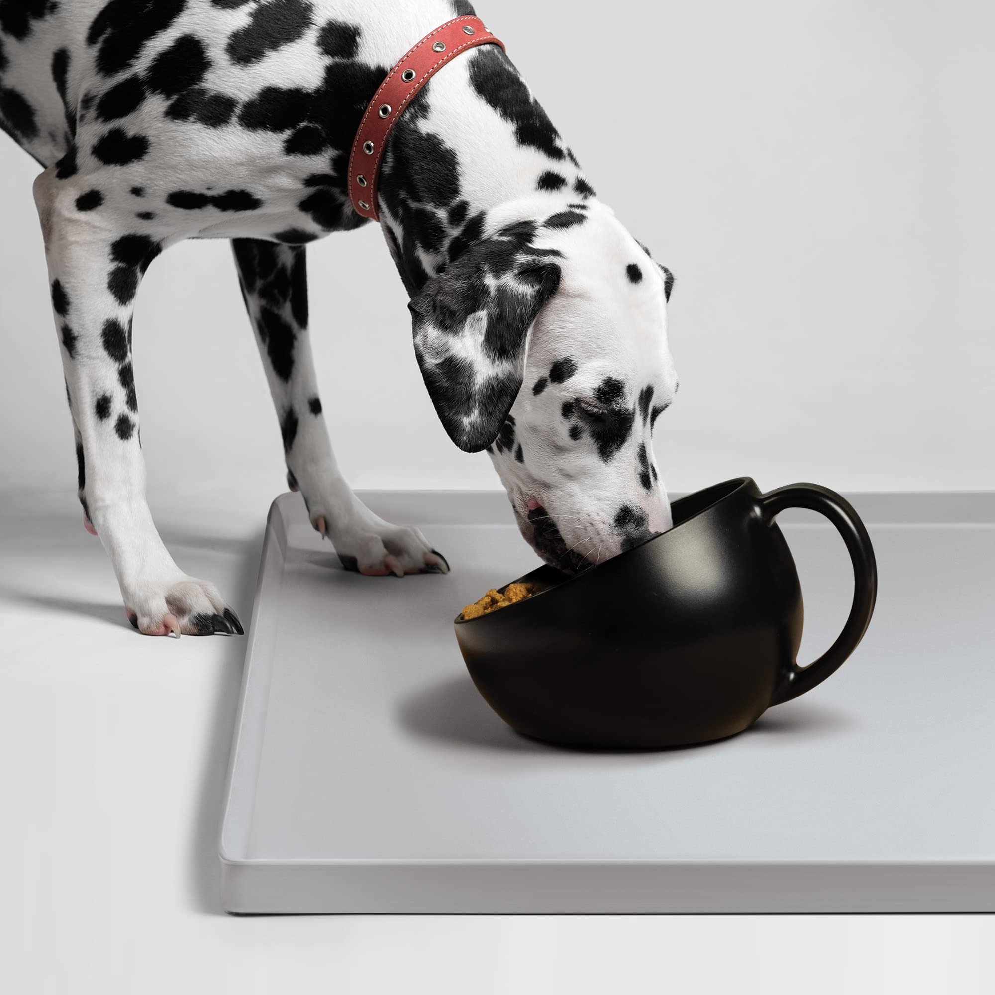 **Non-Slip Dog Bowl for Large Dogs - Stainless Steel Pet Food & Water Bowl with Anti-Skid Base (Standard, Black) - Perfect for Mealtime, Travel & Outdoor Use**