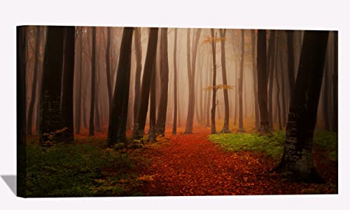 Autumn Starts Forest